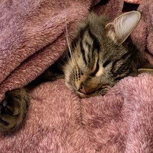 Meet your Posher, Kaitlyn